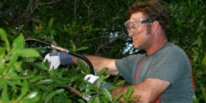 Professional doing the maintenance service
